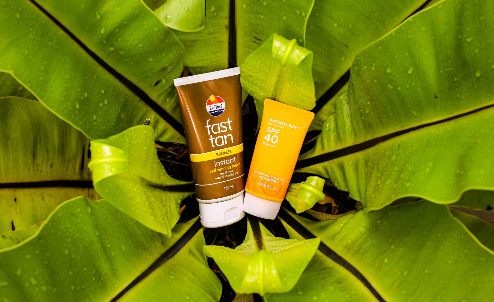 7 Sunscreen Sticks That Deserve a Spot in Your Beauty Arsenal