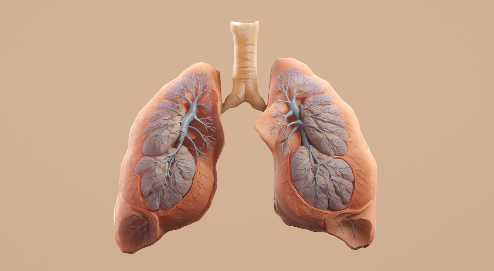 Understanding Lung Cancer Symptoms: What to Watch For and When to See Your Doctor